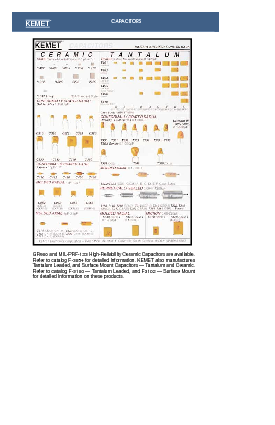 浏览型号C202K102M1BX5CS的Datasheet PDF文件第2页