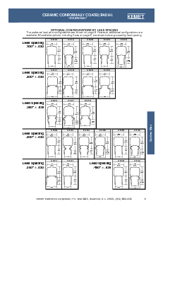 浏览型号C202K102M1BX5CS的Datasheet PDF文件第9页