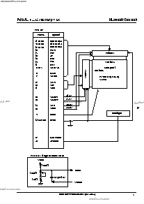 浏览型号NL2432HC22-22A的Datasheet PDF文件第7页