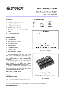 浏览型号DFM1200EXS12-A000的Datasheet PDF文件第1页