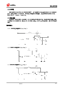 浏览型号BL8530的Datasheet PDF文件第6页