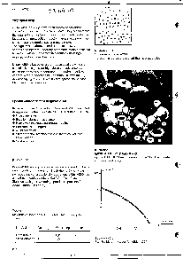 浏览型号1420-20/A200的Datasheet PDF文件第2页