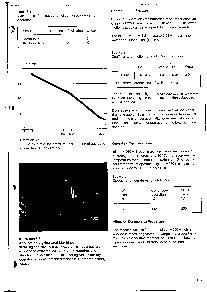 浏览型号1420-20/M250的Datasheet PDF文件第4页