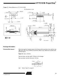 浏览型号AT77C101B的Datasheet PDF文件第19页