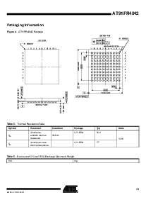 浏览型号AT91FR4042-CI的Datasheet PDF文件第19页