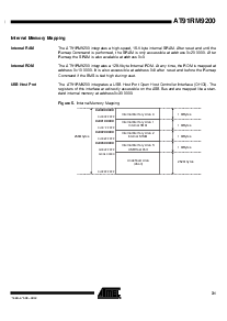 浏览型号AT91RM9200的Datasheet PDF文件第31页