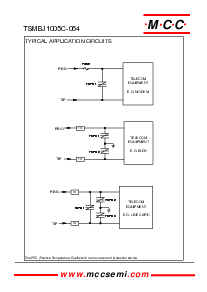 浏览型号TSMBJ1005C-064的Datasheet PDF文件第4页