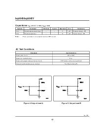 浏览型号BQ4845YS-A4NT的Datasheet PDF文件第12页
