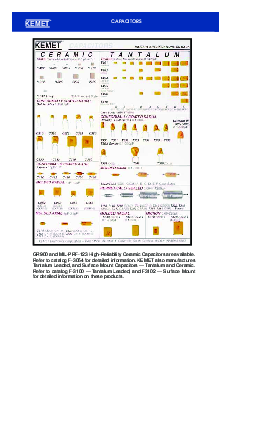 浏览型号C202G102F2CH5CA的Datasheet PDF文件第2页