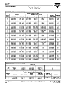 浏览型号36DY393F040BC2A的Datasheet PDF文件第2页