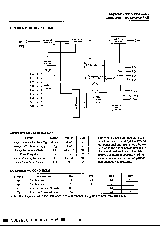 浏览型号NN514256AJ-50的Datasheet PDF文件第3页