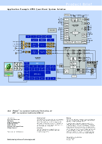 浏览型号PMB8875的Datasheet PDF文件第2页