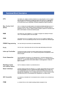 浏览型号UPD7030025AGC-33的Datasheet PDF文件第2页