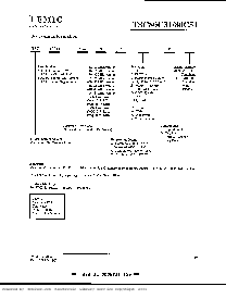 浏览型号TSC80C31-12IB的Datasheet PDF文件第19页
